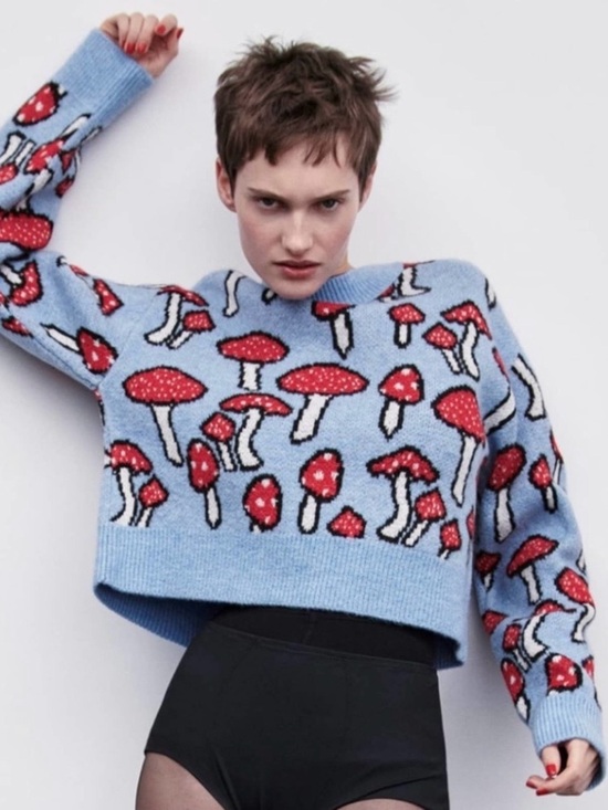 Zara Sweaters - Zara medium size Blue Mushroom Pattern Women's Crewneck Sweater